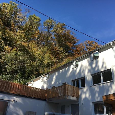 Ferienwohnungen Lamisto Am Waldesrand Neckartenzlingen Екстериор снимка