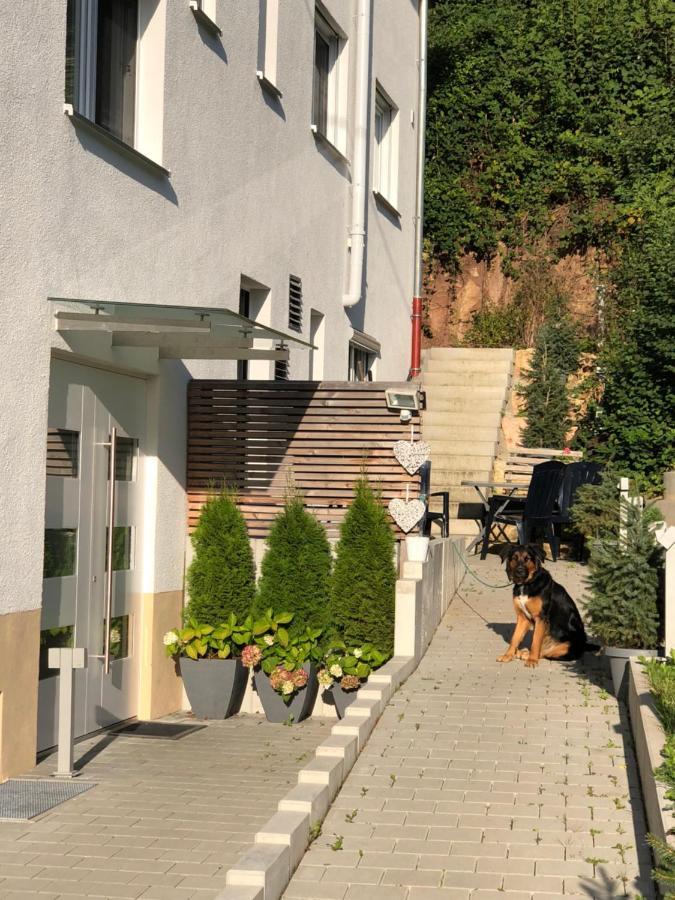 Ferienwohnungen Lamisto Am Waldesrand Neckartenzlingen Екстериор снимка